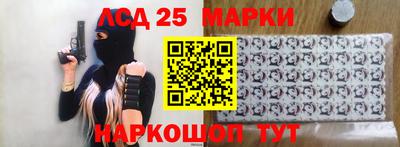 Альфа ПВП Новодвинск