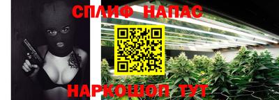 Альфа ПВП Новодвинск