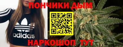 Альфа ПВП Новодвинск