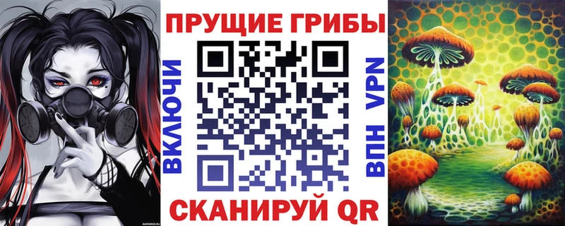 кракен маркетплейс  Тихорецк  Псилоцибиновые грибы ЛСД 